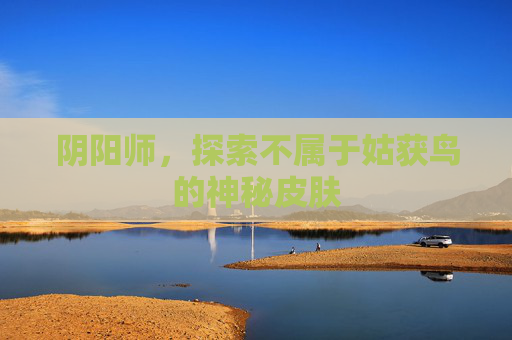 阴阳师,探索不属于姑获鸟的神秘皮肤 阴阳师,探索不属于姑获鸟的神秘皮肤