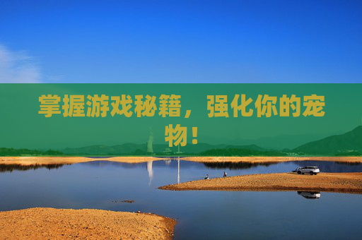 掌握游戏秘籍,强化你的宠物! 掌握游戏秘籍,强化你的宠物!