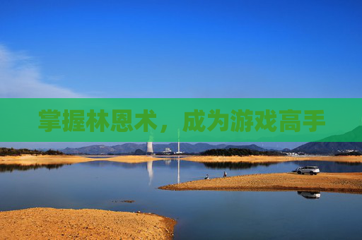 掌握林恩术,成为游戏高手 掌握林恩术,成为游戏高手