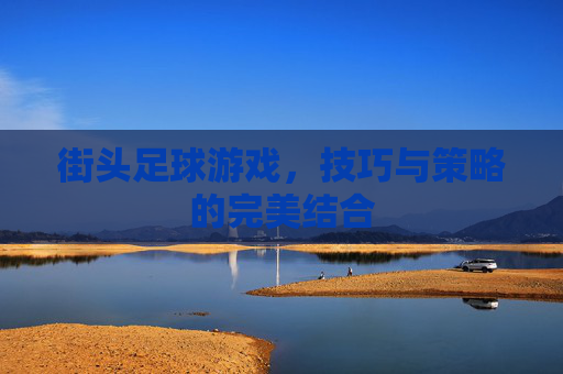 街头足球游戏,技巧与策略的完美结合 街头足球游戏,技巧与策略的完美结合