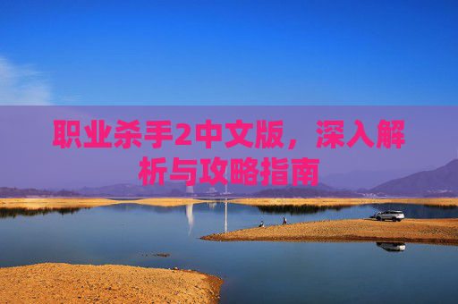 职业杀手2中文版,深入解析与攻略指南 职业杀手2中文版,深入解析与攻略指南