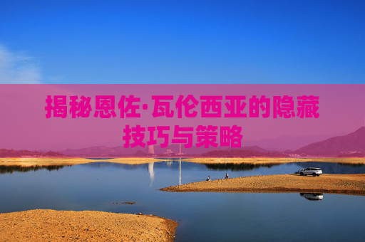 揭秘恩佐·瓦伦西亚的隐藏技巧与策略 揭秘恩佐·瓦伦西亚的隐藏技巧与策略