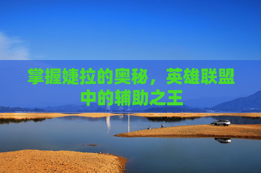 掌握婕拉的奥秘,英雄联盟中的辅助之王 掌握婕拉的奥秘,英雄联盟中的辅助之王