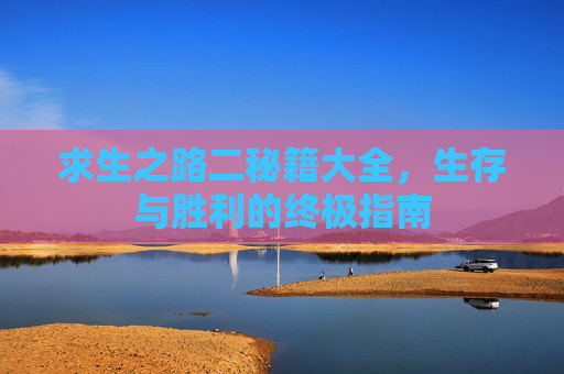 求生之路二秘籍大全,生存与胜利的终极指南 求生之路二秘籍大全,生存与胜利的终极指南