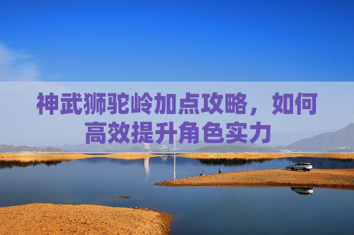 神武狮驼岭加点攻略,如何高效提升角色实力 神武狮驼岭加点攻略,如何高效提升角色实力