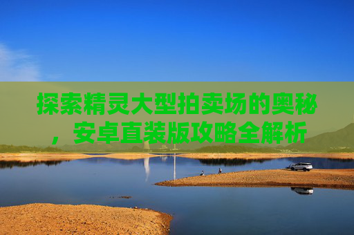 探索精灵大型拍卖场的奥秘,安卓直装版攻略全解析 探索精灵大型拍卖场的奥秘,安卓直装版攻略全解析