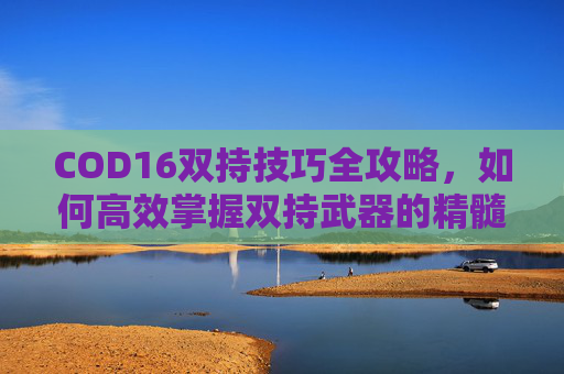 COD16双持技巧全攻略,如何高效掌握双持武器的精髓? COD16双持技巧全攻略,如何高效掌握双持武器的精髓?