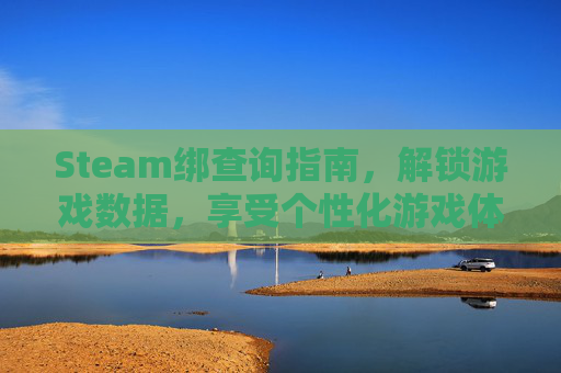 Steam绑查询指南,解锁游戏数据,享受个性化游戏体验 Steam绑查询指南,解锁游戏数据,享受个性化游戏体验