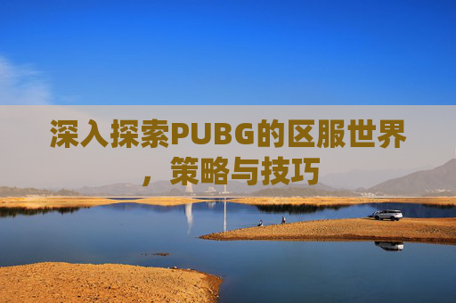 深入探索PUBG的区服世界,策略与技巧 深入探索PUBG的区服世界,策略与技巧