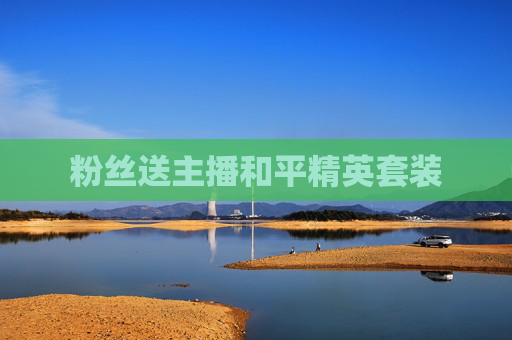粉丝送主播和平精英套装 粉丝送主播和平精英套装