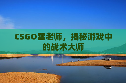 CSGO雪老师,揭秘游戏中的战术大师 CSGO雪老师,揭秘游戏中的战术大师