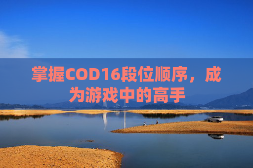 掌握COD16段位顺序，成为游戏中的高手