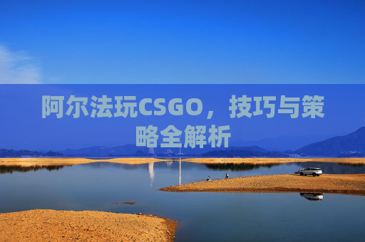 阿尔法玩CSGO，技巧与策略全解析