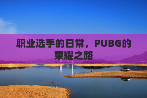 职业选手的日常,PUBG的荣耀之路 职业选手的日常,PUBG的荣耀之路