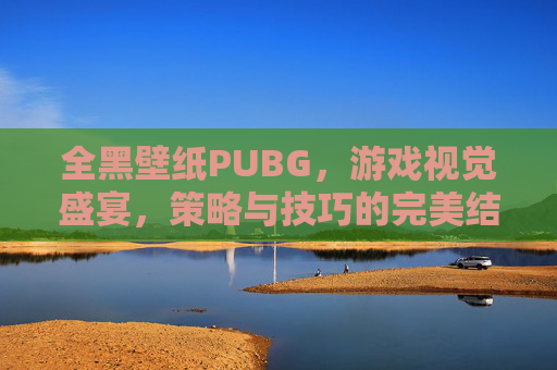 全黑壁纸PUBG,游戏视觉盛宴,策略与技巧的完美结合 全黑壁纸PUBG,游戏视觉盛宴,策略与技巧的完美结合