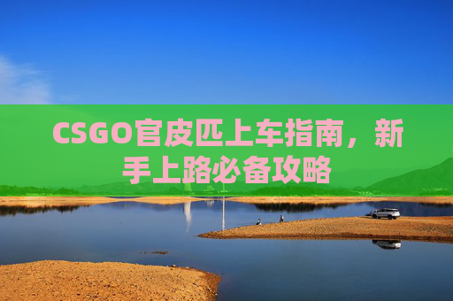 CSGO官皮匹上车指南，新手上路必备攻略