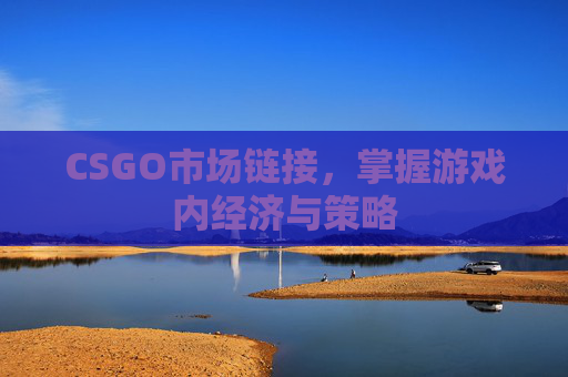 CSGO市场链接,掌握游戏内经济与策略 CSGO市场链接,掌握游戏内经济与策略