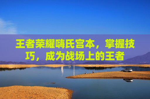 王者荣耀嗨氏宫本,掌握技巧,成为战场上的王者 王者荣耀嗨氏宫本,掌握技巧,成为战场上的王者