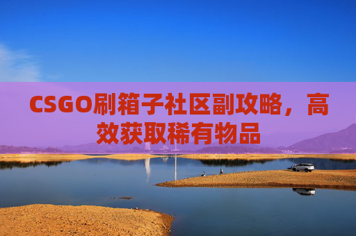CSGO刷箱子社区副攻略,高效获取稀有物品 CSGO刷箱子社区副攻略,高效获取稀有物品