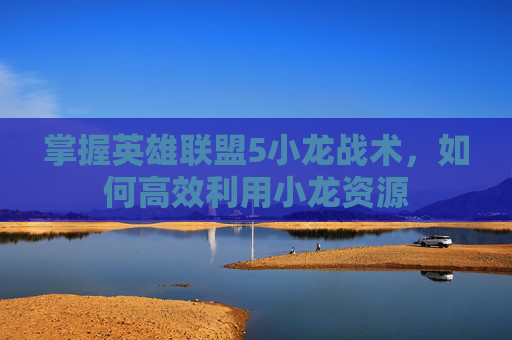 掌握英雄联盟5小龙战术，如何高效利用小龙资源