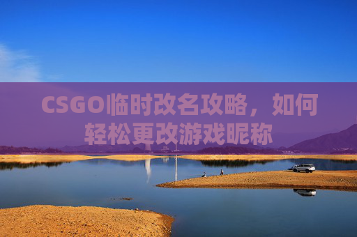 CSGO临时改名攻略，如何轻松更改游戏昵称