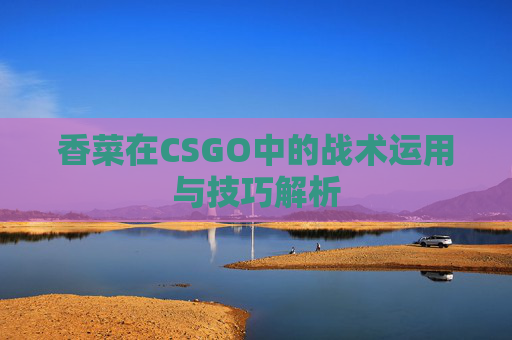 香菜在CSGO中的战术运用与技巧解析 香菜在CSGO中的战术运用与技巧解析