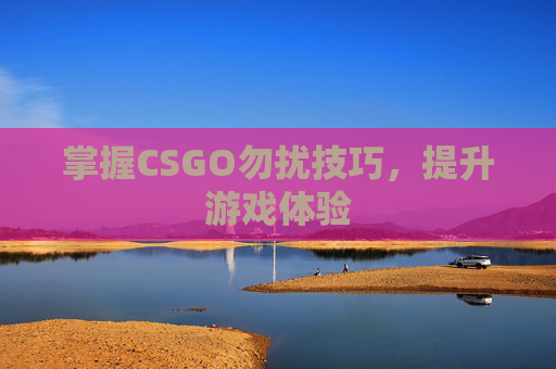 掌握CSGO勿扰技巧,提升游戏体验 掌握CSGO勿扰技巧,提升游戏体验