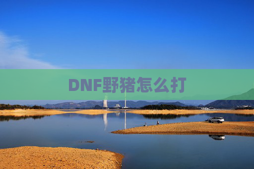DNF野猪怎么打 DNF野猪怎么打