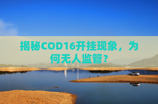 揭秘COD16开挂现象,为何无人监管? 揭秘COD16开挂现象,为何无人监管?