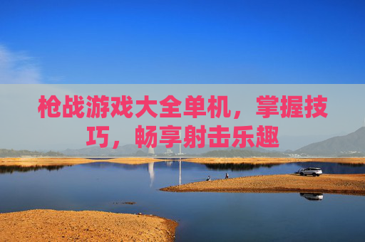 枪战游戏大全单机,掌握技巧,畅享射击乐趣 枪战游戏大全单机,掌握技巧,畅享射击乐趣