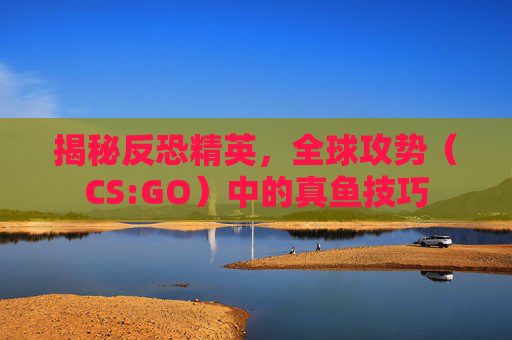 揭秘反恐精英,全球攻势(CS:GO)中的真鱼技巧 揭秘反恐精英,全球攻势(CS:GO)中的真鱼技巧