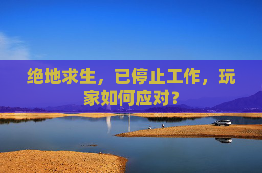 绝地求生,已停止工作,玩家如何应对? 绝地求生,已停止工作,玩家如何应对?
