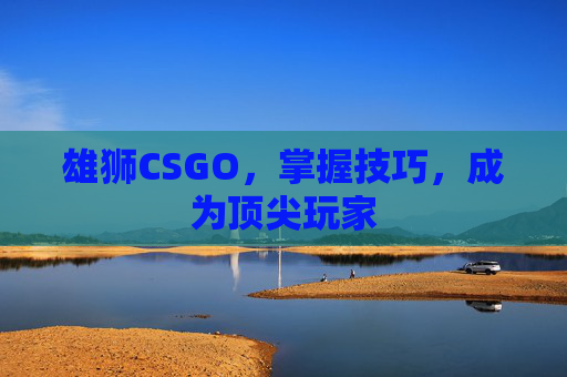 雄狮CSGO,掌握技巧,成为顶尖玩家 雄狮CSGO,掌握技巧,成为顶尖玩家