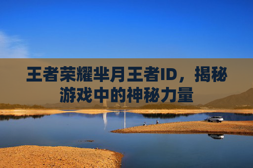 王者荣耀芈月王者ID,揭秘游戏中的神秘力量 王者荣耀芈月王者ID,揭秘游戏中的神秘力量