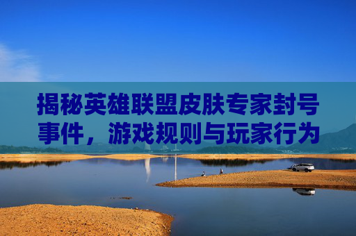 揭秘英雄联盟皮肤专家封号事件,游戏规则与玩家行为的平衡之道 揭秘英雄联盟皮肤专家封号事件,游戏规则与玩家行为的平衡之道