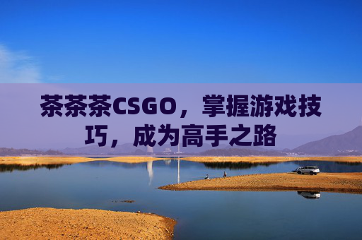 茶茶茶CSGO,掌握游戏技巧,成为高手之路 茶茶茶CSGO,掌握游戏技巧,成为高手之路