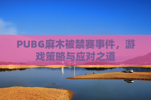 PUBG麻木被禁赛事件,游戏策略与应对之道 PUBG麻木被禁赛事件,游戏策略与应对之道