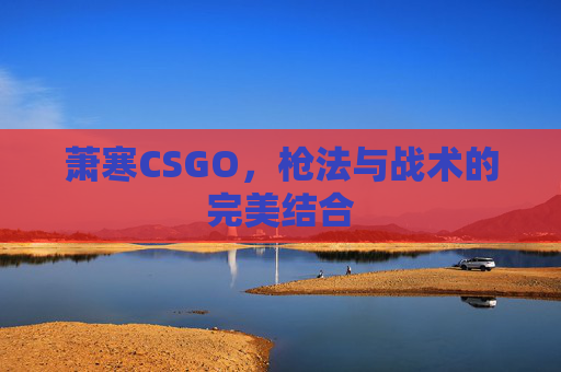萧寒CSGO,枪法与战术的完美结合 萧寒CSGO,枪法与战术的完美结合