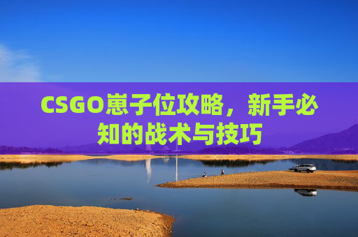 CSGO崽子位攻略,新手必知的战术与技巧 CSGO崽子位攻略,新手必知的战术与技巧