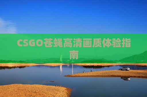 CSGO苍蝇高清画质体验指南 CSGO苍蝇高清画质体验指南
