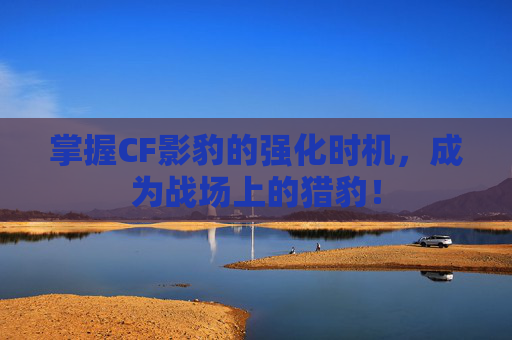 掌握CF影豹的强化时机,成为战场上的猎豹! 掌握CF影豹的强化时机,成为战场上的猎豹!