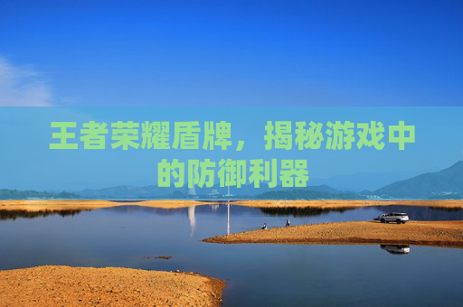 王者荣耀盾牌,揭秘游戏中的防御利器 王者荣耀盾牌,揭秘游戏中的防御利器