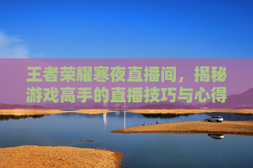 王者荣耀寒夜直播间，揭秘游戏高手的直播技巧与心得