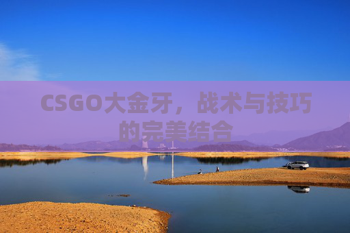 CSGO大金牙，战术与技巧的完美结合