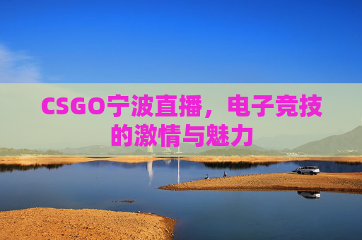 CSGO宁波直播，电子竞技的激情与魅力