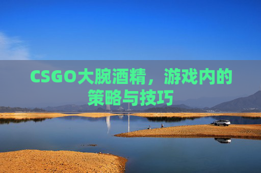 CSGO大腕酒精，游戏内的策略与技巧