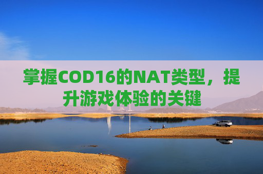掌握COD16的NAT类型,提升游戏体验的关键 掌握COD16的NAT类型,提升游戏体验的关键