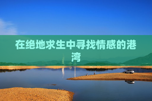 在绝地求生中寻找情感的港湾