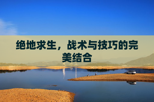 绝地求生，战术与技巧的完美结合