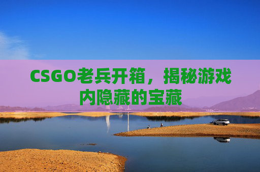 CSGO老兵开箱，揭秘游戏内隐藏的宝藏